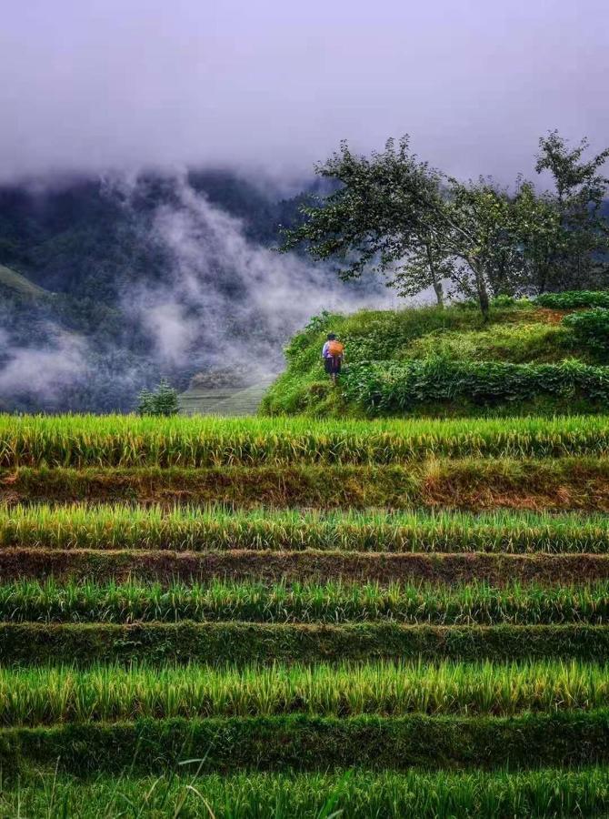 Longji Terrace La Vie Inn Longsheng Εξωτερικό φωτογραφία
