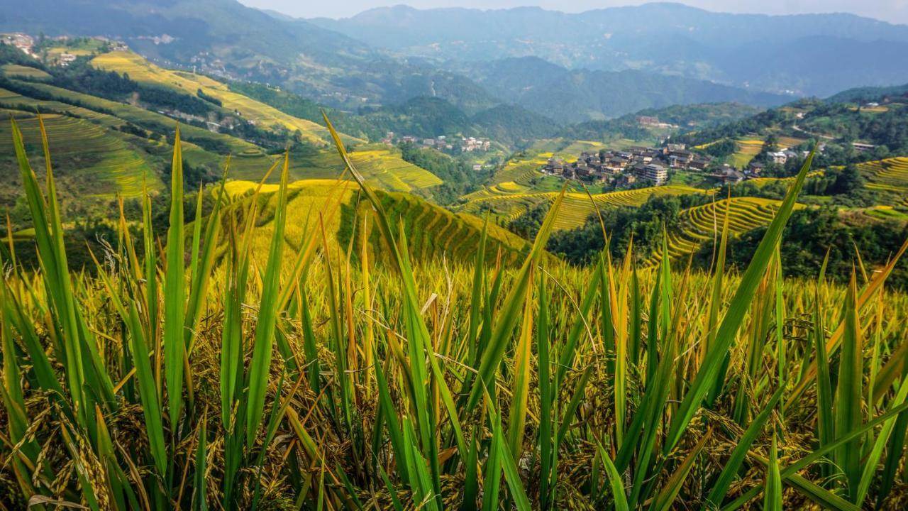 Longji Terrace La Vie Inn Longsheng Εξωτερικό φωτογραφία