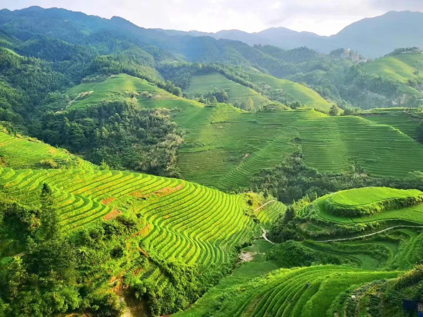 Longji Terrace La Vie Inn Longsheng Εξωτερικό φωτογραφία